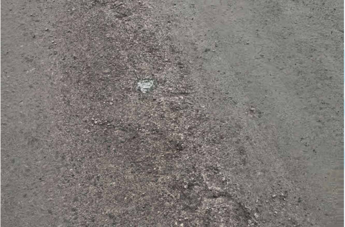 Vägsensor Pro